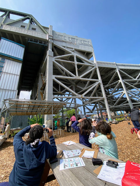 Students on a field trip using binoculars to observe birds in an urban setting.
